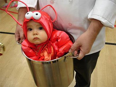 Lobster baby ahoy!